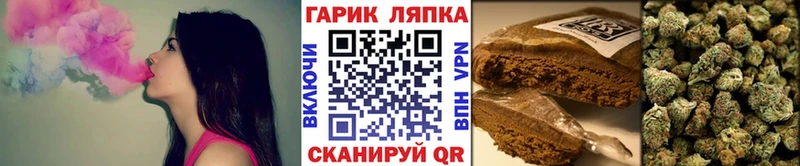 как найти   Сальск  Гашиш гашик 