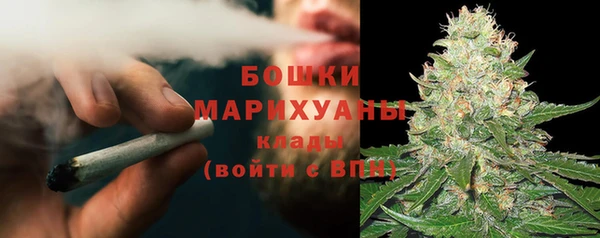 крисы Няндома