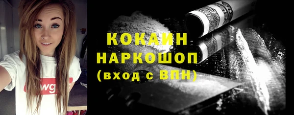 крисы Няндома