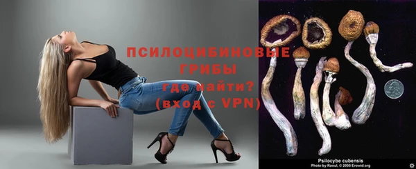 гидропоника Нягань