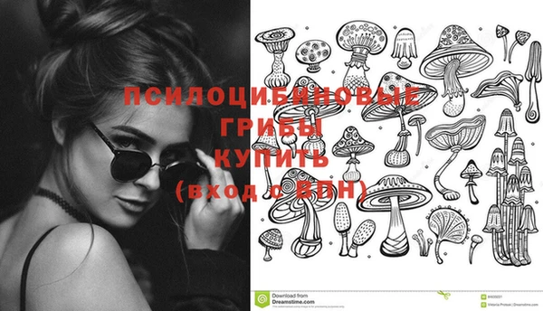 крисы Няндома