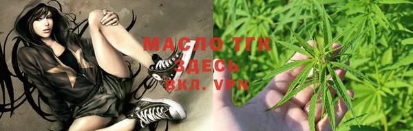 крисы Няндома