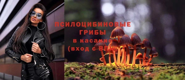 СК Нязепетровск
