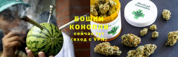 крисы Няндома