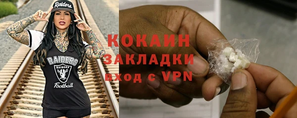 крисы Няндома